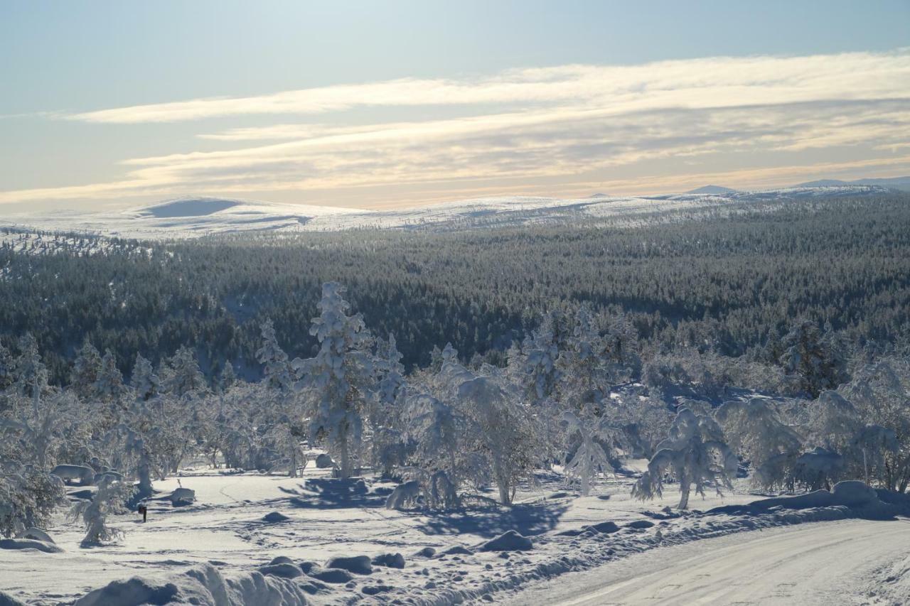 Polaris Homes For You Rovaniemi Exterior photo